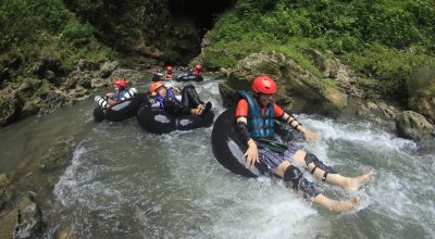 pexels-photo-1305095 pexels-photo-1305095